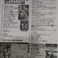 週刊プロレス　2019年5月22日号　No.2011 新日本プロレスリング　レスリングどんたく　SANADA IWGPヘビー　杉浦軍　オカダカズチカの画像