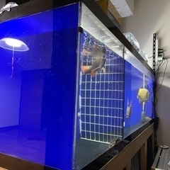水槽　アクリルの画像