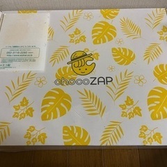 チョコザップ　スターターキットの画像