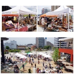 ねこたま祭！住協川越支店様と同時開催【保護猫譲渡会 in ウニクス川越】 - 川越市