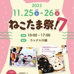 ねこたま祭！住協川越支店様と同時開催【保護猫譲渡会 in ウニクス川越】の画像