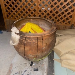 大きなツボ？亀