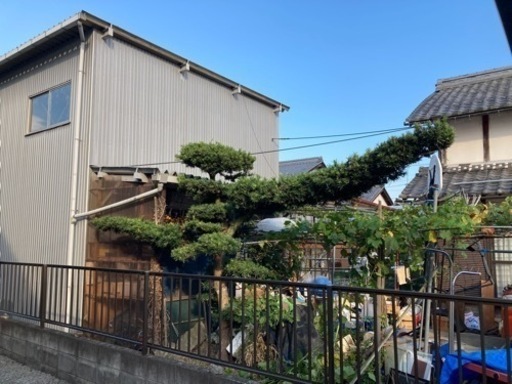 値下げ⭐️マキの木⭐️