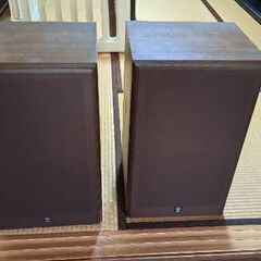 ヤマハ　NS-451改　の画像