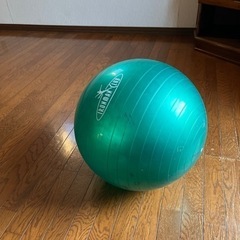 お取り置き中　バランスボール