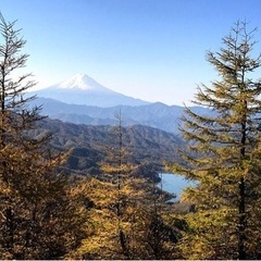 平日登山仲間募集