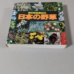 山渓カラー名鑑(中古)2冊セット500円 ①日本の野草②日本の樹...