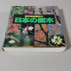 山渓カラー名鑑(中古)2冊セット500円 ①日本の野草②日本の樹木 サイズ 210×200×35mmの画像