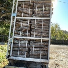 京丹波町　薪　ナラ　クヌギ　お得価格の画像