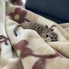 候補者が決まりました！沢山のメッセージありがとうございました！ − 福岡県