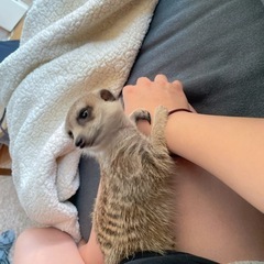 候補者が決まりました！沢山のメッセージありがとうございました！ - その他