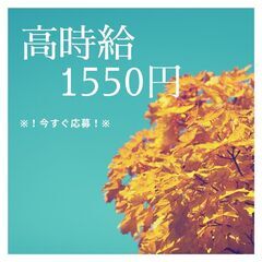 必要なのは＜免許＞だけ！未経験でもできる軽作業◎高時給1,550円★50代スタッフも活躍中♪【nk】A12K0223-3(6)の画像