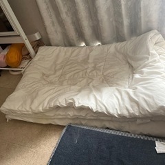 いらない掛け布団、毛布をもらいたい。