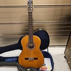 Ryoji Matsuoka LUTHIER M20 クラシック...