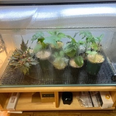 30cm、60cm、90cm水槽の画像