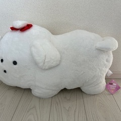 つぶらな瞳の犬と猫　びっぐ　まるちーず