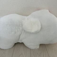 つぶらな瞳の犬と猫　びっぐ　まるちーずの画像