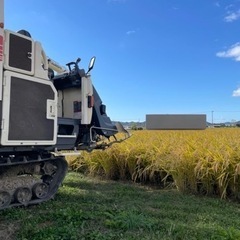 令和5年産　ヒノヒカリ　玄米30キロ　④