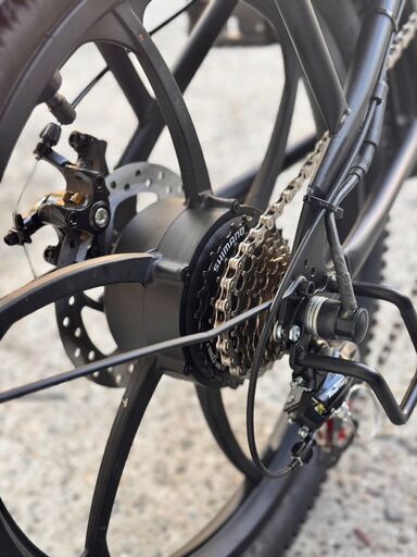 新品　公道走行可能フル電動自転車　アクセル付き　ひねちゃ　モペット