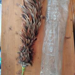 愛車などをパッパってはたくハタキ？