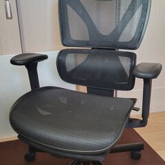 [中古] COFO Chair Pro