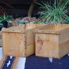 【ご購入者様へお渡し済み】【USED】リンゴ箱(中古リンゴ箱)×...