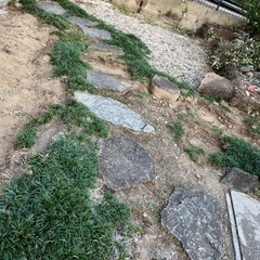 庭の飛び石