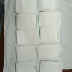 ペット用品、犬用(オムツパット)ペティオの画像