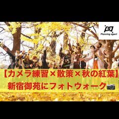 【フォトウォーク×秋の紅葉×カメラ練習/新宿御苑】初心者向け/ス...