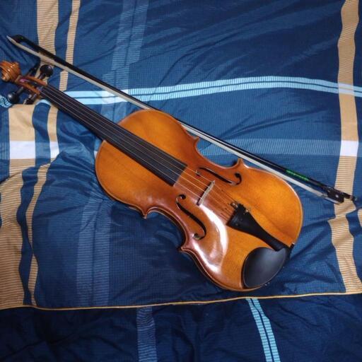 ビオラ弓 ヴィオラ弓 カールヘフナー Karl Höfner