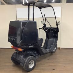 ｼﾞｬｲﾛｷｬﾉﾋﾟｰ　BOX付の画像