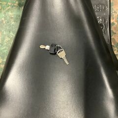 ｼﾞｬｲﾛｷｬﾉﾋﾟｰ　BOX付の画像