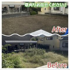 🌿✂草刈り伐採お任せください✂🌿