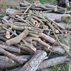 原木薪広葉樹軽トラック積み放題４千円の画像