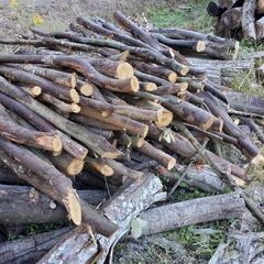 原木薪広葉樹軽トラック積み放題４千円の画像