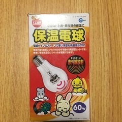 爬虫類 小動物 保温球 使用品 ヒーター