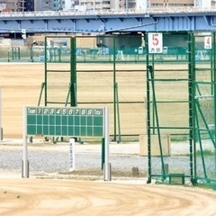 11/5(日) 10:00~草野球助っ人募集！