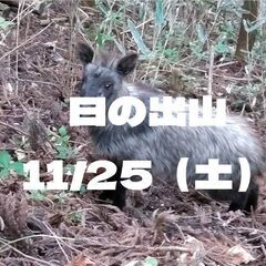 11/25土 御岳からの日の出山→つるつる温泉