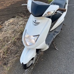 シグナス　1型の画像