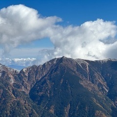 11/3登山（ハイキング）行きませんかか