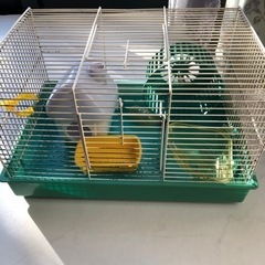 ハムスター飼育セット差し上げます。