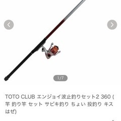 ［美品］釣竿　(決まりました)の画像