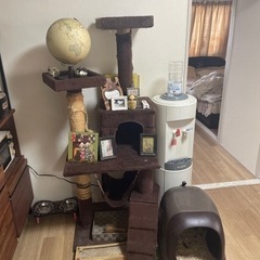 最終値下げ！キャットタワー譲ります！4000から2000円PRI...