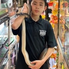 霧島市初の爬虫類専門店🎵 - ペット