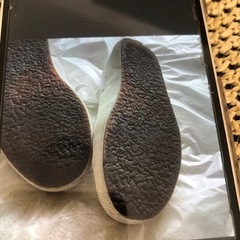 スペルガの画像