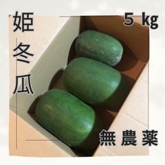 【無農薬】三重県産　姫冬瓜（ひめとうがん）3個