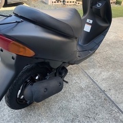 スズキレッツ2の画像