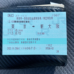 東京　新大阪　日付指定　自由席　新幹線チケット