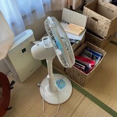 格安でどうぞの画像