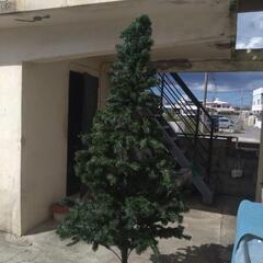 組み立て式クリスマスツリーの画像